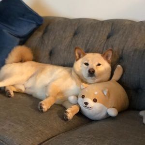 Meet your Posher, Edward